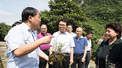 吉林省科學(xué)技術(shù)廳關(guān)于2023年第一批入庫科技型中小企業(yè)的公告