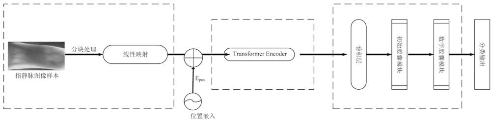 指靜脈識別模型訓練方法及識別方法、系統(tǒng)和終端